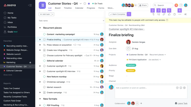 Asana project management interface